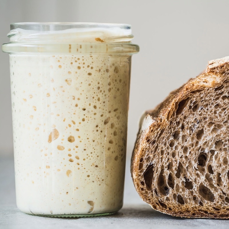 Con giống men tự nhiên sourdough làm các loại bánh tặng kèm công thức làm bánh