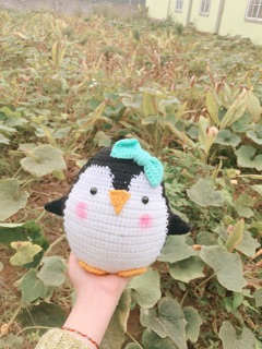 Chú chim cánh cụt ú ụ