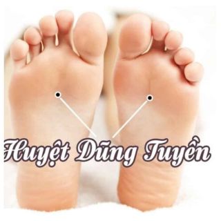 Tinh dầu tràm nguyên chất 50ml