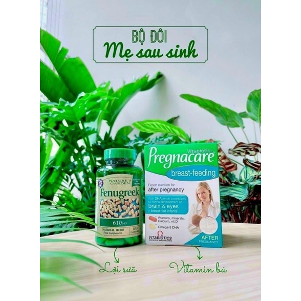 Cỏ lợi sữa Fenugreek 610mg Uk Anh Quốc