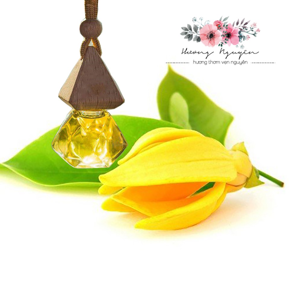 Tinh Dầu  Treo - Tinh Dầu Ylang Ylang