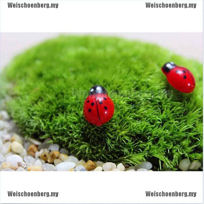 Mô hình bọ rùa thiết kế mini dễ thương dùng trang trí chậu cây độc đáo