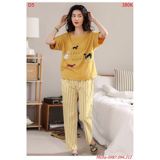 Bộ quần áo nữ 💐FREE SHIP💐 Bộ cotton áo vàng quần dài kẻ sọc hiện đại