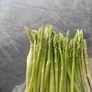 1000 hạt giống măng tây