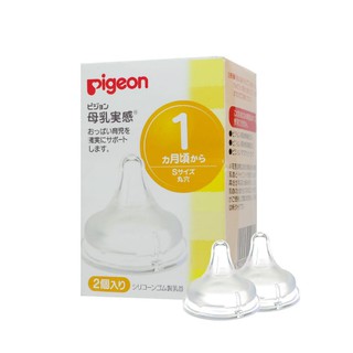 NÚM TI PIGEON NỘI ĐỊA NHẬT
