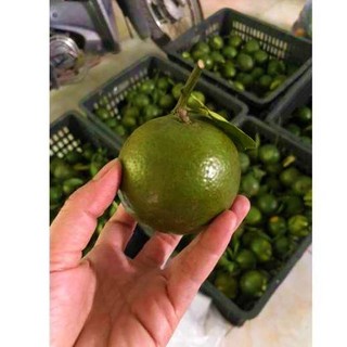 [ GIAO HCM] CAM SÀNH VĨNH LONG, MỎNG VỎ, MỌNG NƯỚC