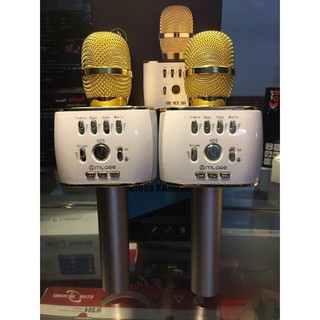 Micro karaoke Bluetooth Cao Cấp H25