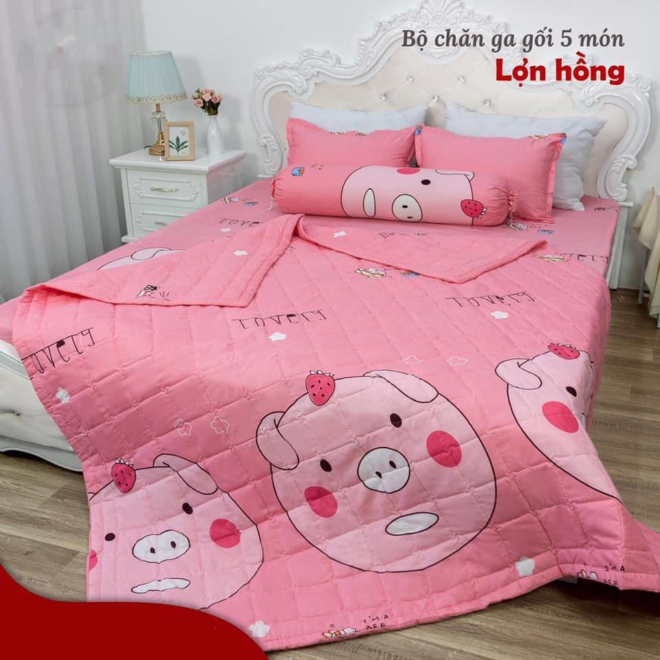 Bộ ga gối poly cotton mẫu lợn hồng