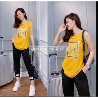 Áo thun nữ cao cấp jt