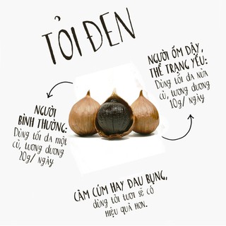 Máy làm tỏi đen Nikio NK-688