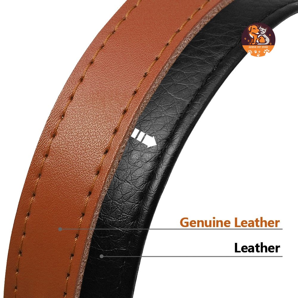 【RIZER】Vòng Cổ Khắc Tên ID Tùy Chỉnh Cá Nhân Hóa Cho Mèo