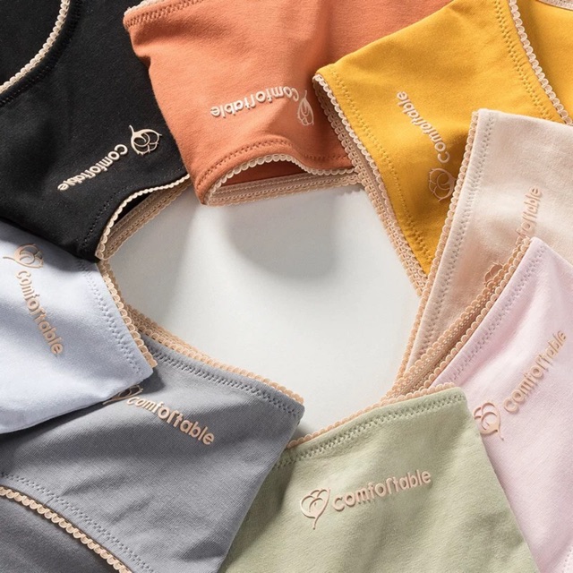Quần Lót Cotton Thông Khí Kháng Khuẩn Viền Ren Comfortable P284