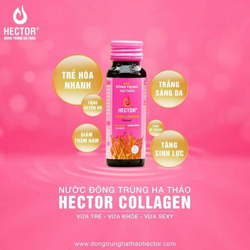 Nước Uống Đông Trùng Hạ Thảo HECTOR COLAGEN Combo 5 Chai - 50ml Hàng Chính Hãng