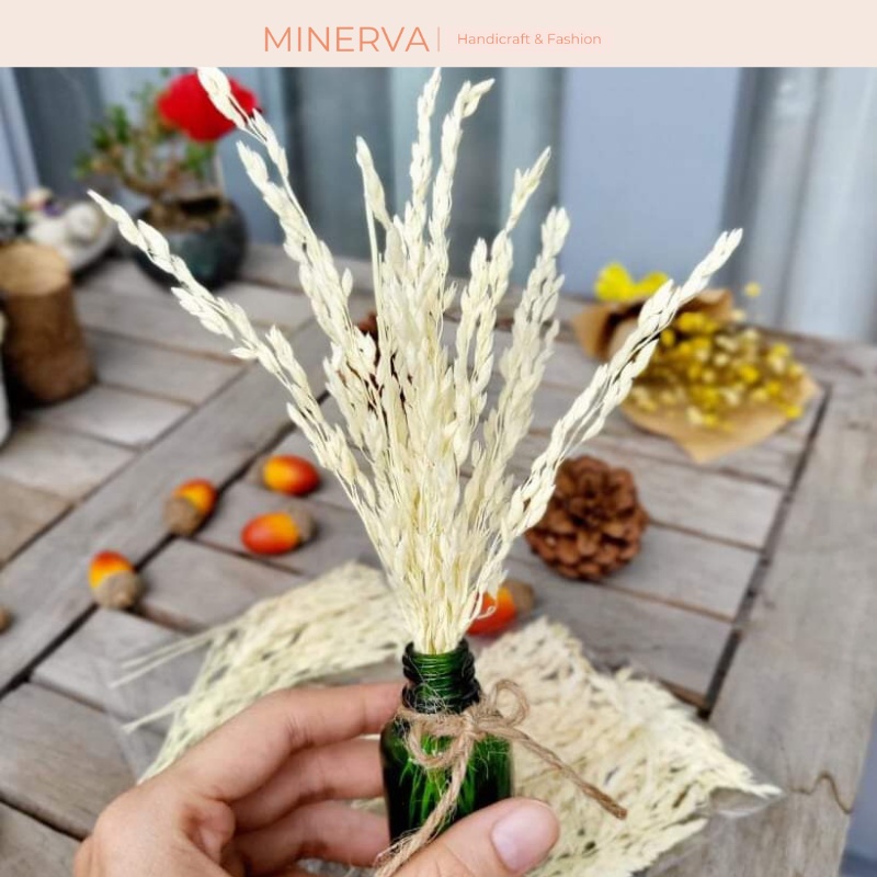 [TRANG TRÍ] Bông lúa khô cành ngắn 10 cm trang trí nhà cửa, làm đồ thủ công handmade