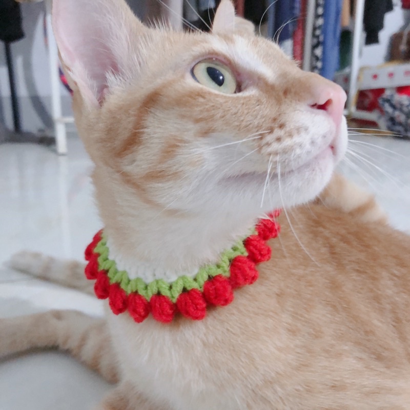 VÒNG CỔ HANDMADE LEN CHO MÈO