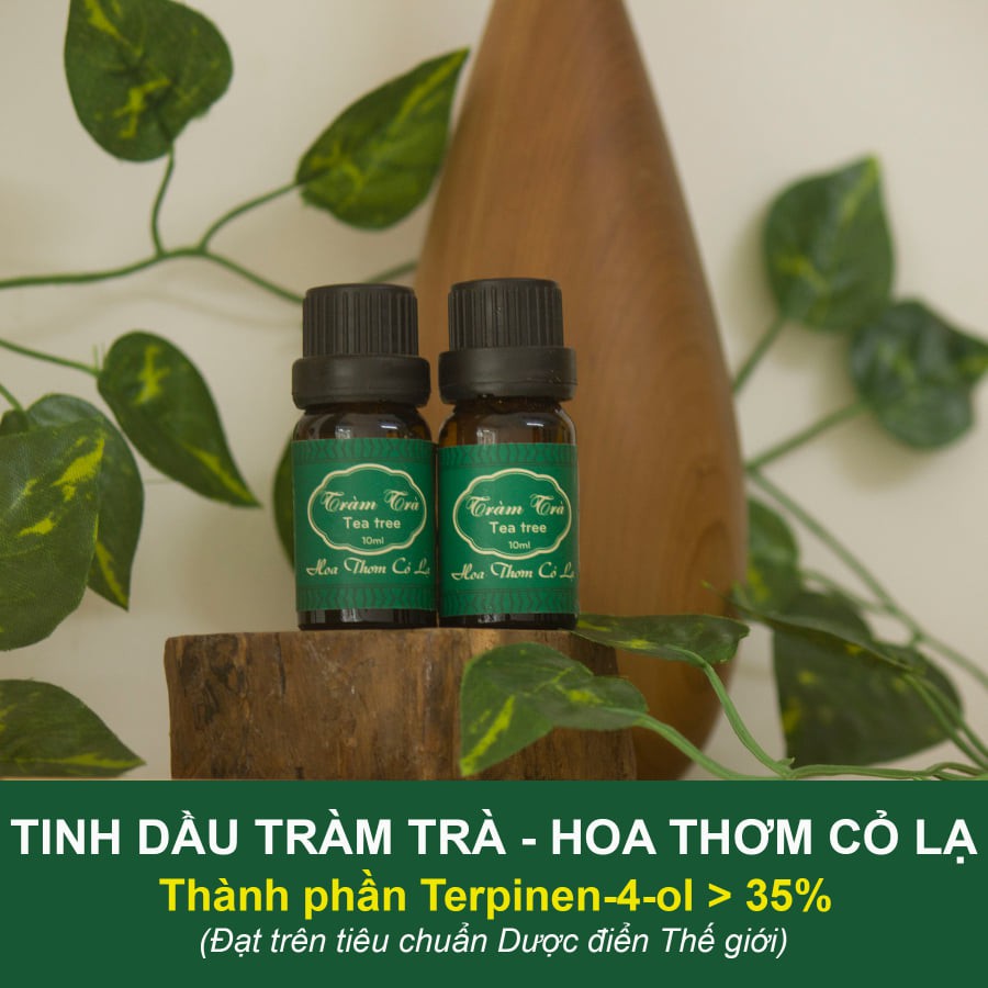 Tinh Dầu Tràm Trà Nguyên chất - Tea Tree Essential Oil - Hoa Thơm Cỏ Lạ