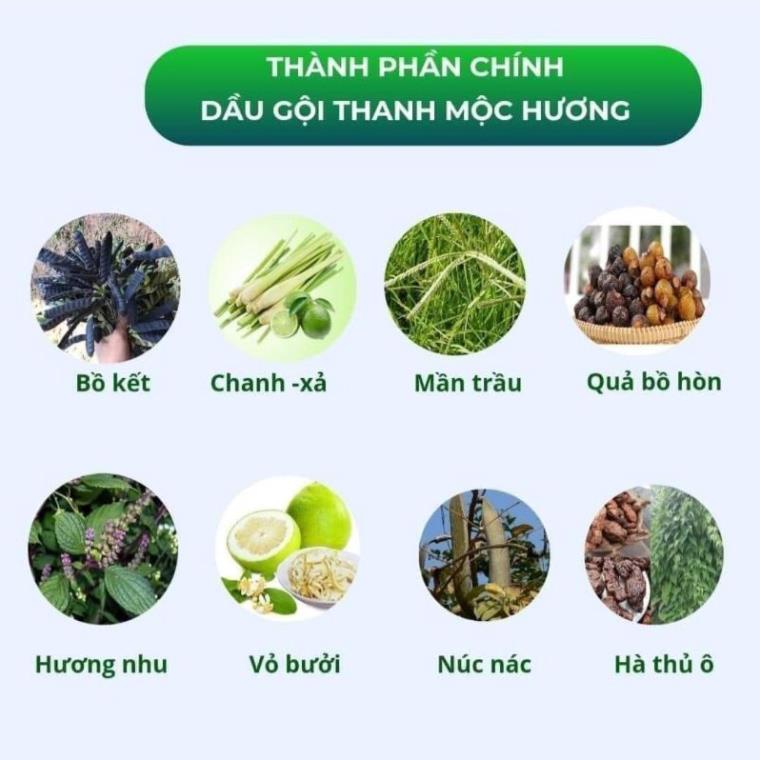 Dầu gội, dầu xả thanh mộc hương thảo dược sạch gàu, nấm ngứa, chống, ngăn rụng tóc, mọc tóc