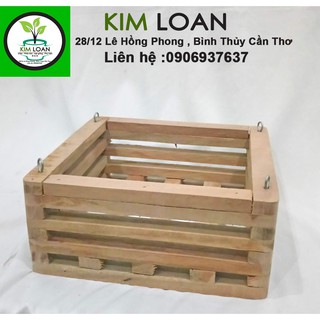 Combo 2 chậu lan gỗ vuông 20x9cm