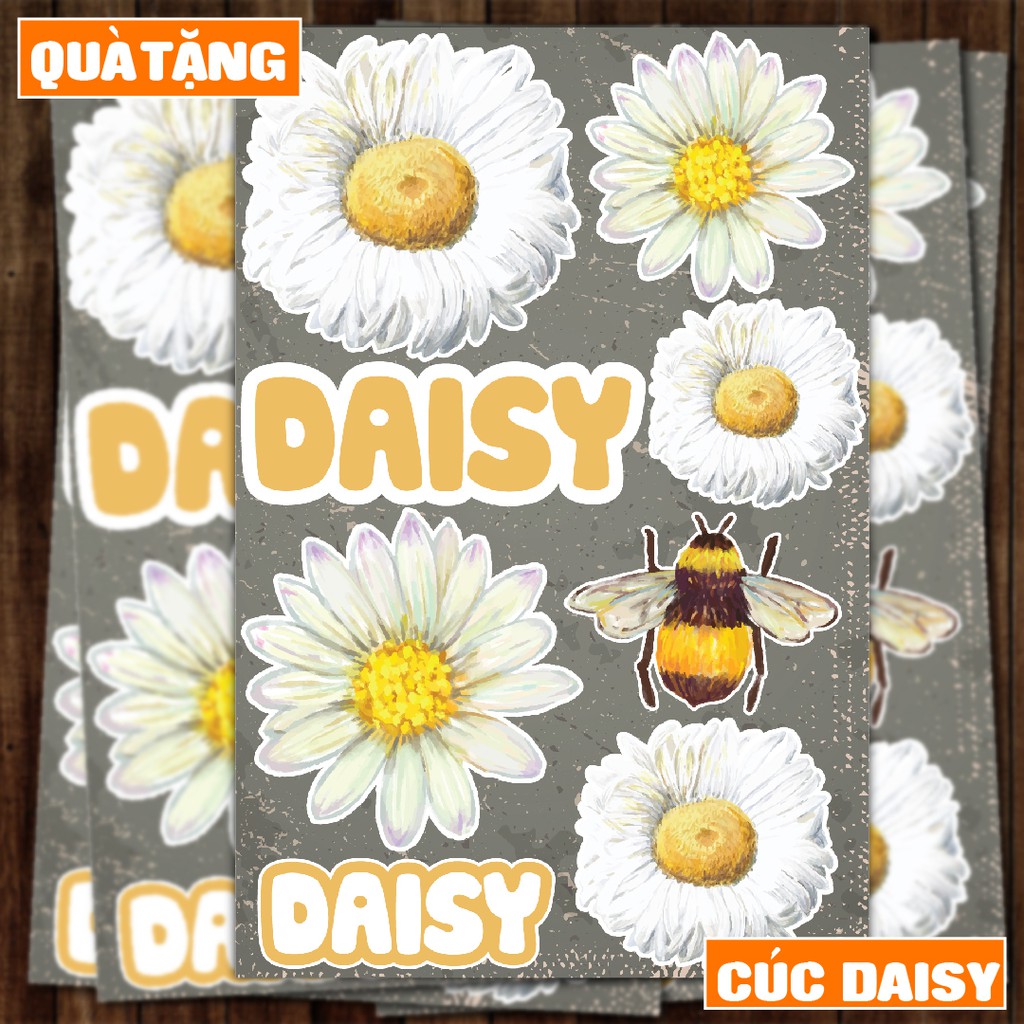 Sticker Hoa Cúc Daisy chống nước dán điện thoại, laptop, nón bảo hiểm, guitar, vali