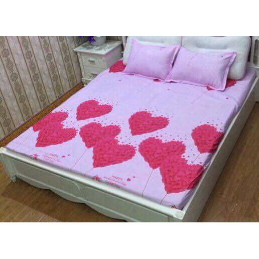 Combo 1 ga chun 2 vỏ gối poly cho đệm 1,8x2m