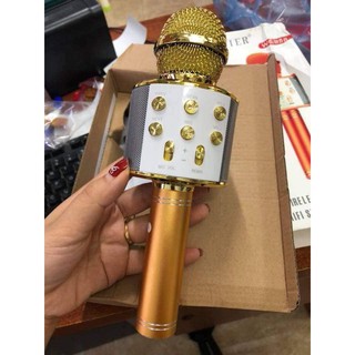 Micro karaoke WS 858 cao cấp