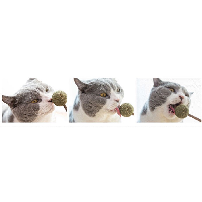 (Sẵn) Cỏ bạc hà catnip dạng viên nén kẹo mút siêu thơm ngon cho mèo