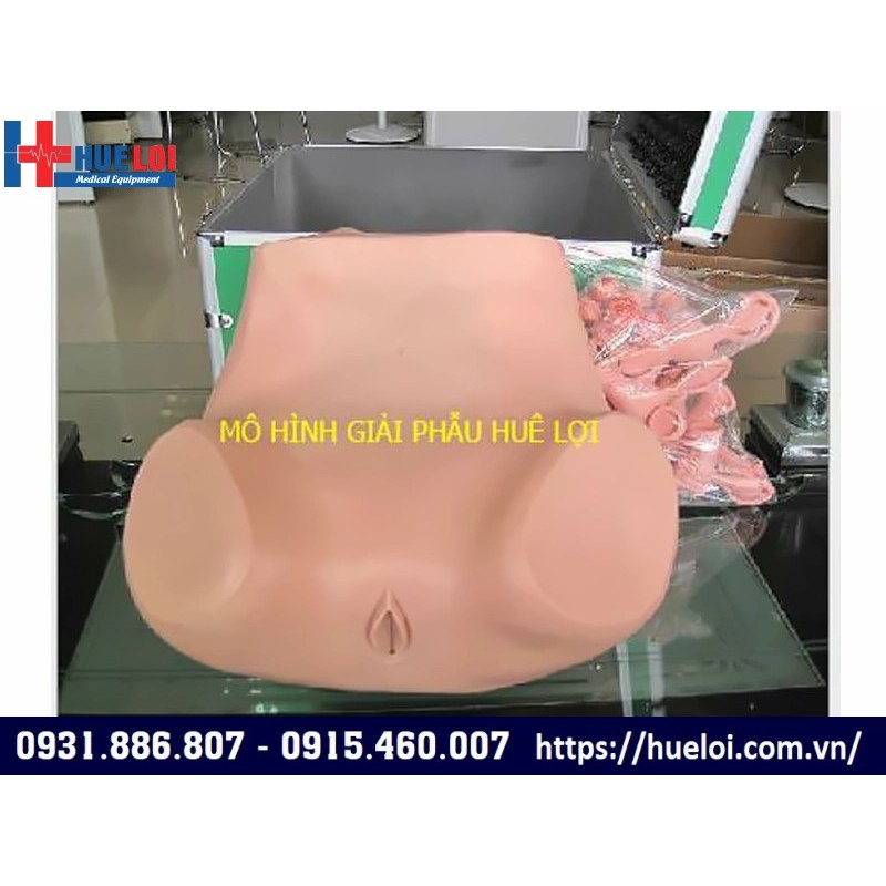 MÔ HÌNH KHÁM CHẨN ĐOÁN CÁC BỆNH LÝ PHỤ KHOA