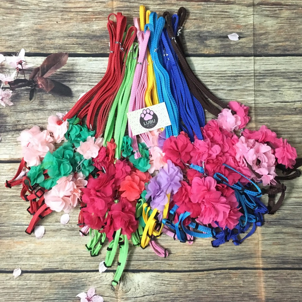 Dây dắt nơ hoa cho chó mèo