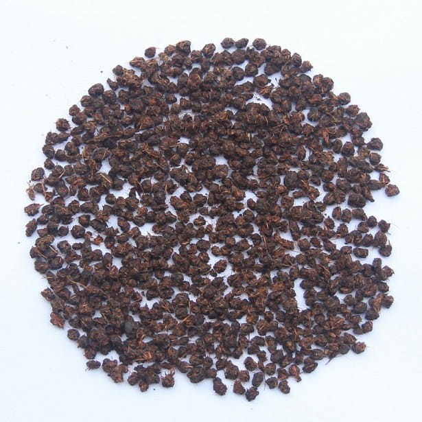 TRÀ ĐEN VIÊN DOTEA B471 - 500G (PHA TRÀ SỮA)