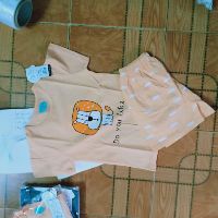Combo 5 borip + 2 cotton xuat han