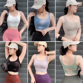 Áo Bra Thể Thao Tập Gym Yoga Nữ, Áo Ngực Thể Thao Chất Dệt Co Giãn Tốt Sẵn Mút BR2206