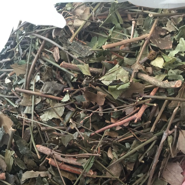 Chè vằng nghệ an
