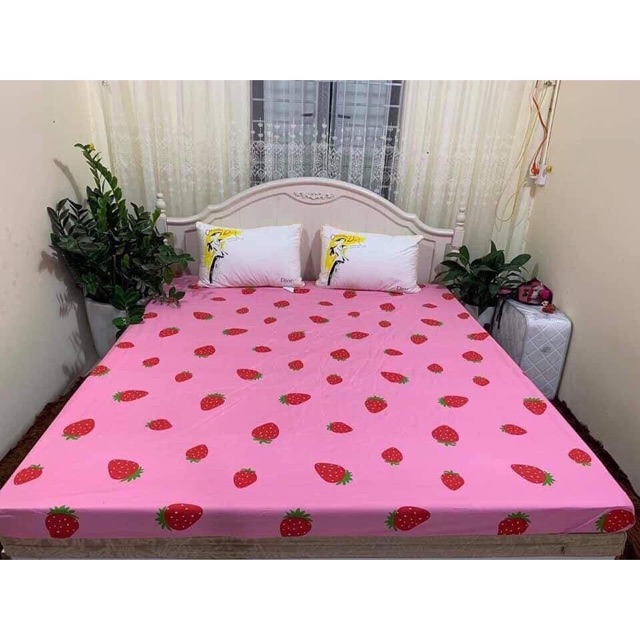 FREESHIP - SIÊU GIẢM GIÁ - Ga chống thấm Cotton cao cấp loại 1 -HCM