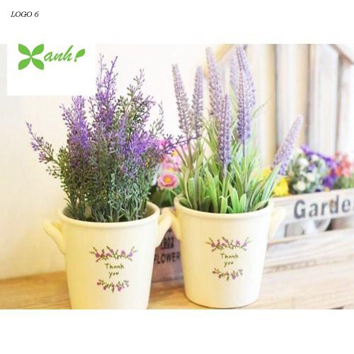 Gói 30 Hạt Giống Hoa Oải Hương Lavender