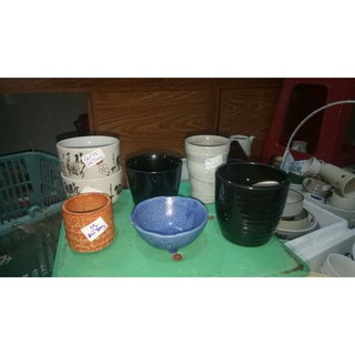 Combo chậu khách sỉ Chị Trang