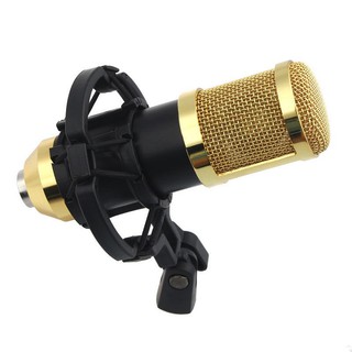 MICRO THU ÂM CHUYÊN NGHIỆP BM 800