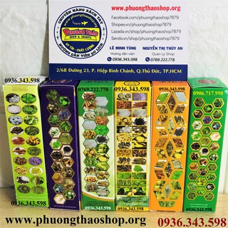 DẦU SÂM 4 VỊ THẢO DƯỢC QUÝ - THÁI LAN (1 LỐC 12 CHAI)