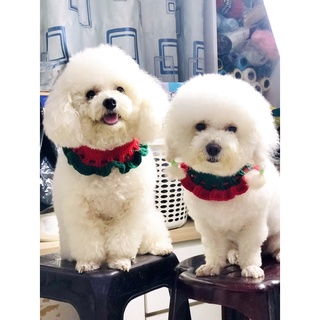 Handmade pet fashion ( mũ- khăn bằng len cho thú cưng )