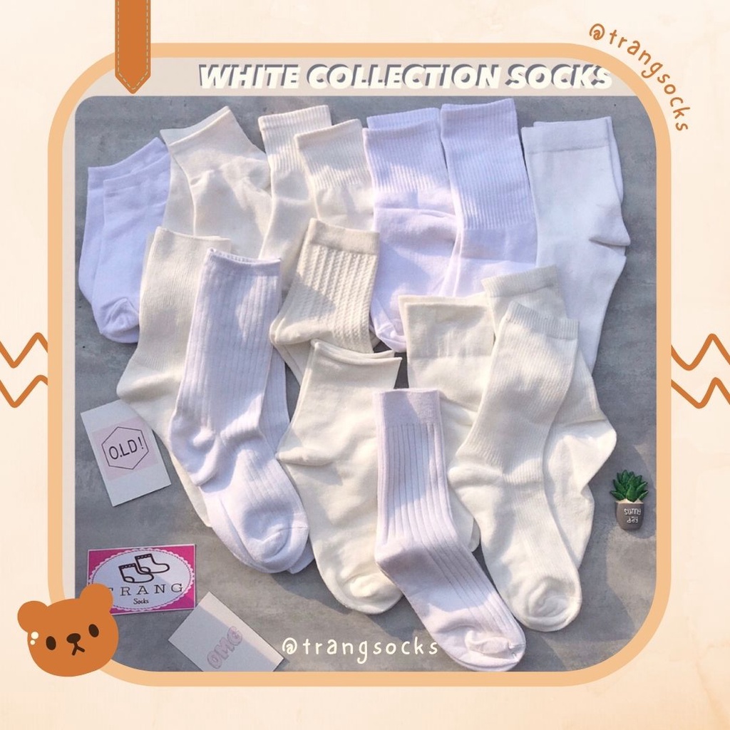 Tất trơn tone màu trắng  - Trangsocks