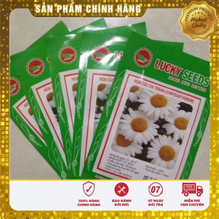 Hạt Giống Hoa Cúc Chi Trắng (50 hạt)
