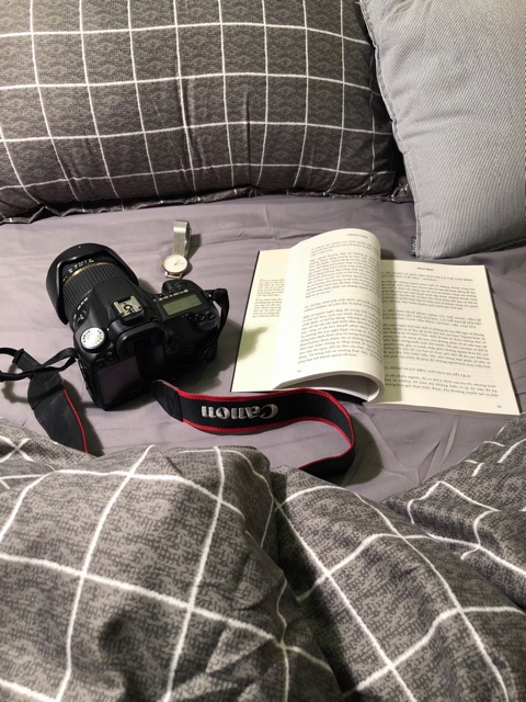 Set chăn ga gối Poly cotton: ô xám | BigBuy360 - bigbuy360.vn