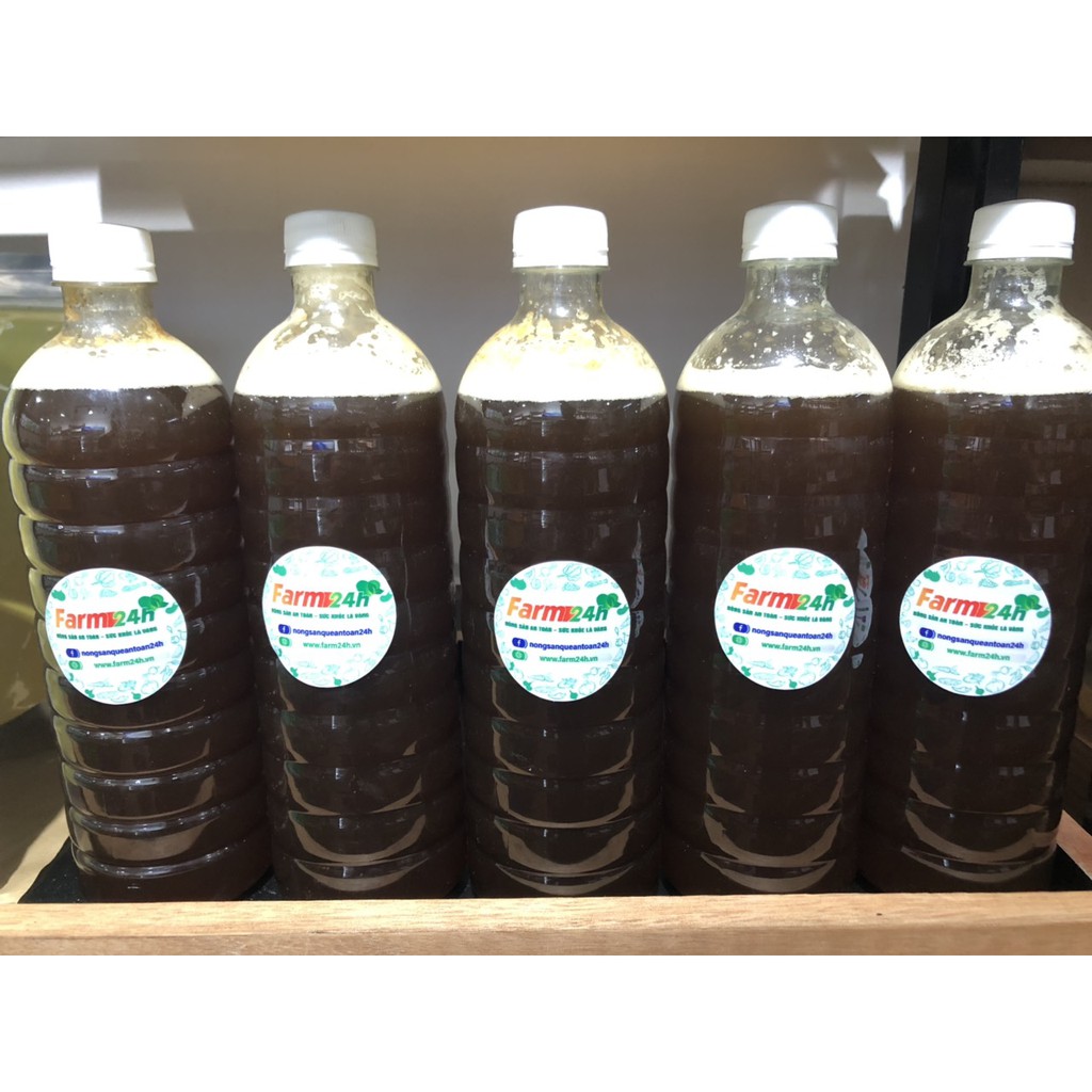 [1 lit ] mật ong hoa cafe Lâm Đồng nguyên chất I Kho Thảo Dược 24h