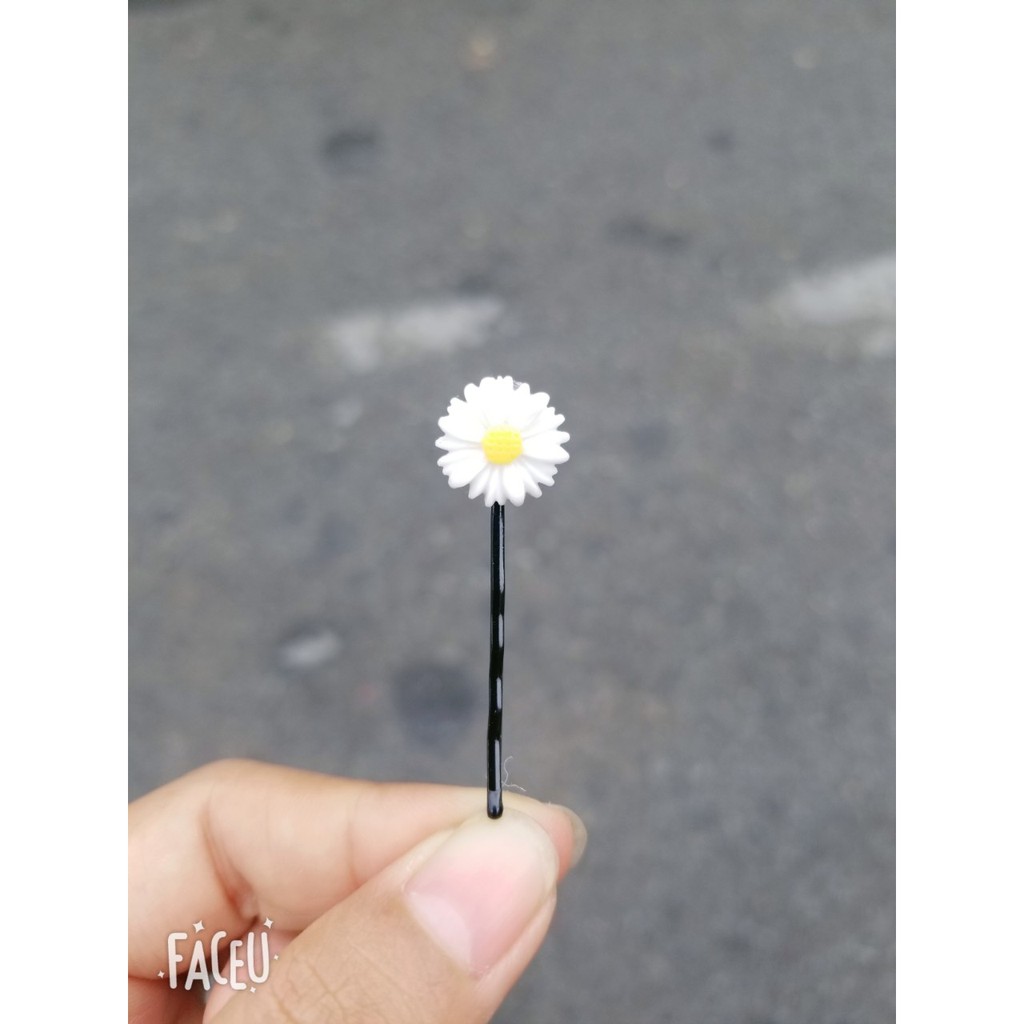 Cột, kẹp tóc hoa cúc ( hình thật )