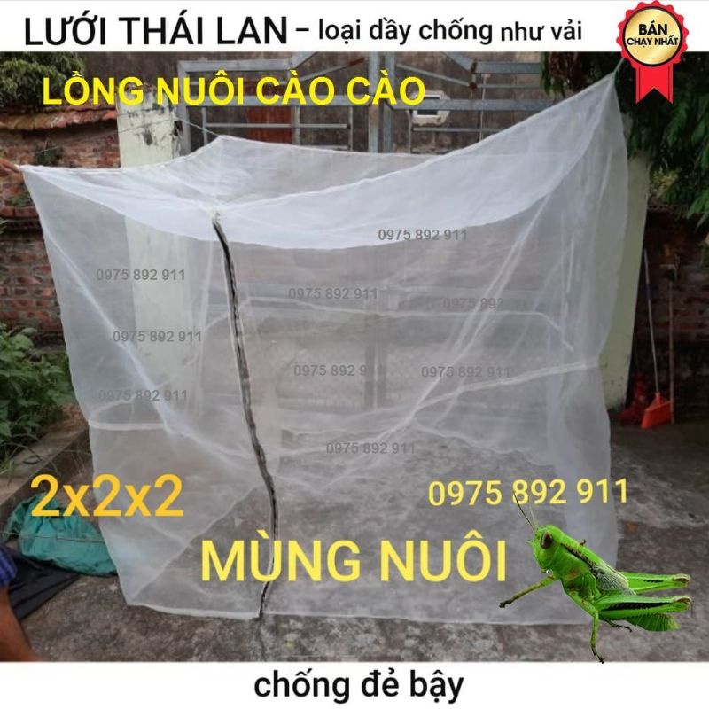 Lồng nuôi cào cào , vợt cào cào ,mùng nuôi cào cào, châu chấu cho chim cảnh ăn