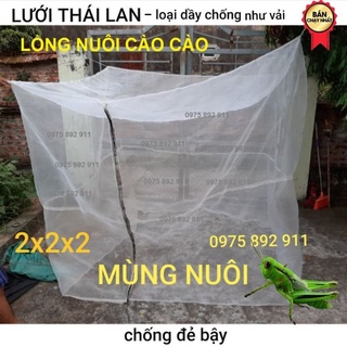 Lồng nuôi cào cào, châu chấu