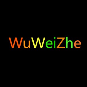 wuweizhe.vn