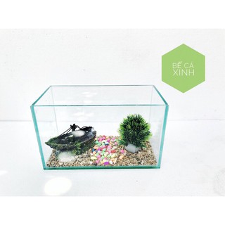 Bể nuôi cá cảnh 25*13*15cm tặng sỏi