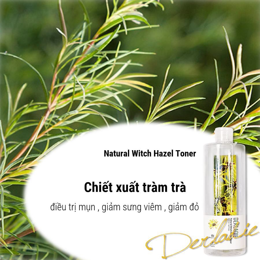 Nước Hoa Hồng Cấp Ẩm, Kiềm Dầu, Se Khít Lỗ Chân Lông Derladie Toner 30ml | BigBuy360 - bigbuy360.vn