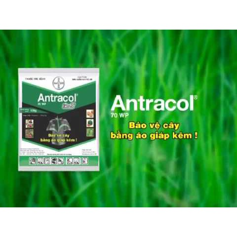  Thuốc Trừ Bệnh, Trừ Nấm Cây Trồng ANTRACOL (Gói 100g) của BAYER (Đức)