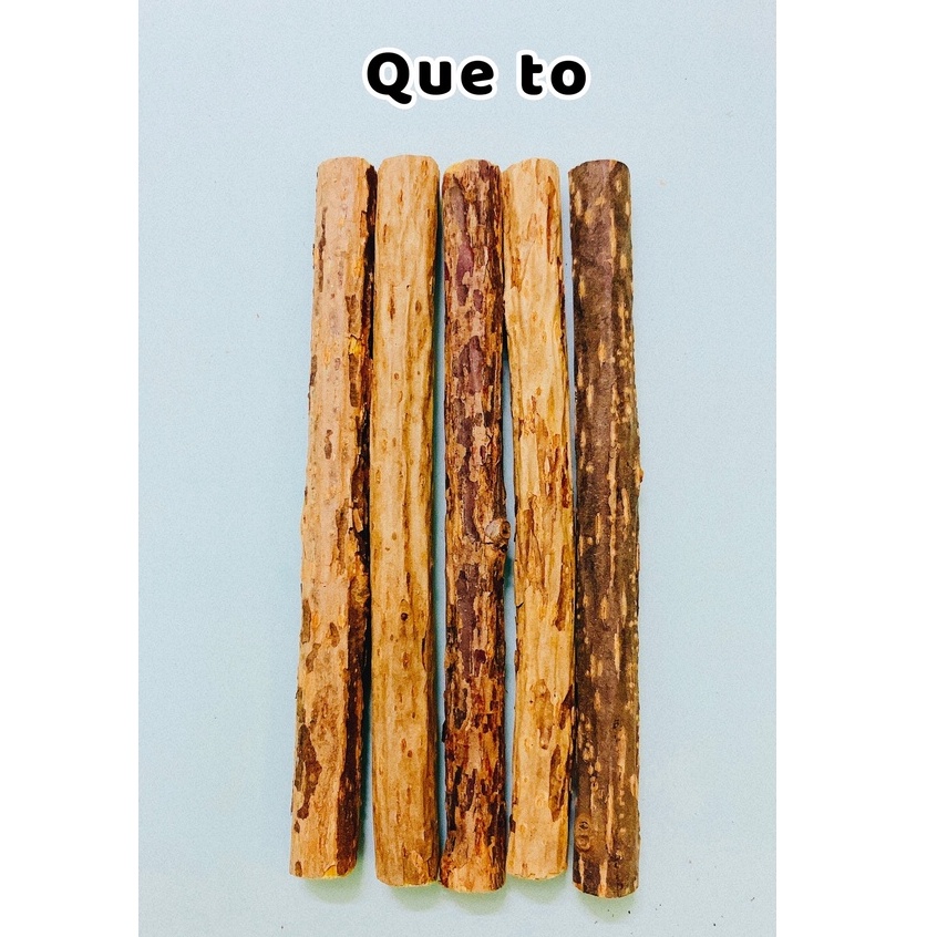 QUE GỖ CATNIP CHO MÈO GẶM SẠCH RĂNG XÃ STRESS